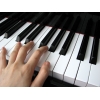 Khi chơi Piano thì não bộ hoạt động thế nào?