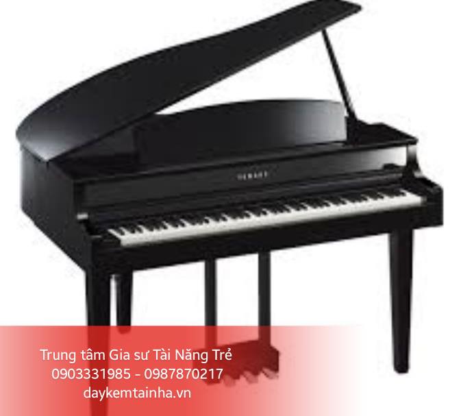 Những lưu ý khi sử dụng đàn Piano (P1)