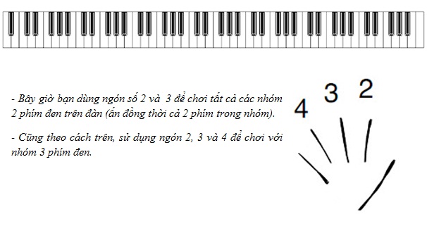 Phương pháp học đàn Piano 
